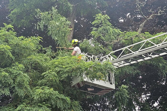 Winkelgebied deels afgesloten door gevaarlijk hangende tak