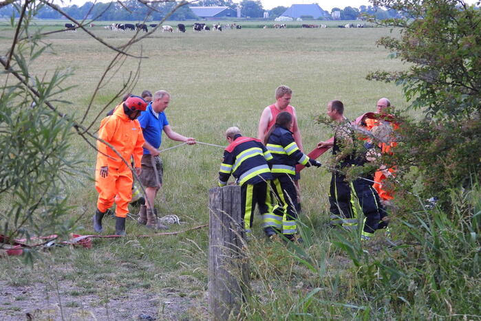 Brandweer ingezet voor paard in een sloot