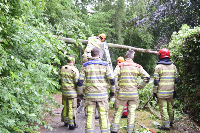 Brandweer ingezet voor omgevallen boom