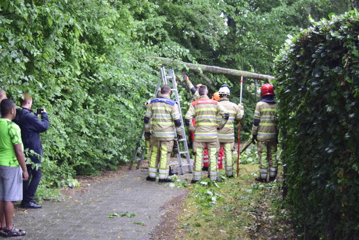Brandweer ingezet voor omgevallen boom