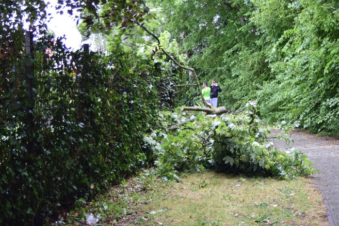 Brandweer ingezet voor omgevallen boom
