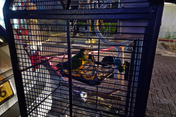 Buurman ontdekt brand in woning