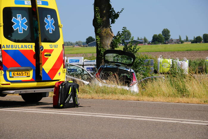 Automobilist frontaal in botsing met boom
