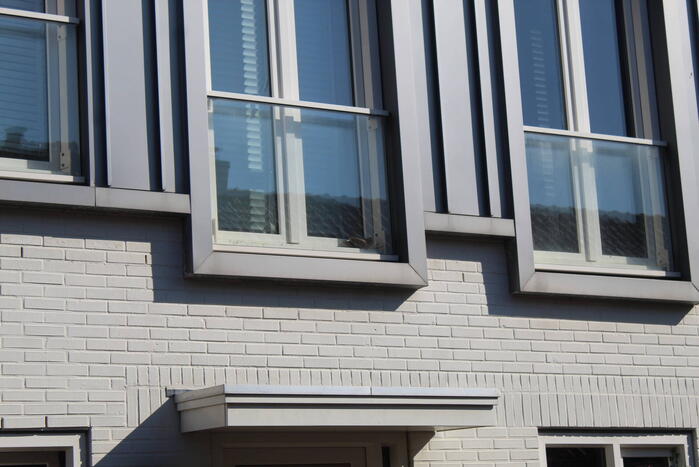 Brandweer ingezet voor vastzittende duif