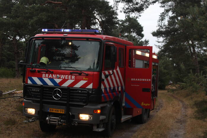 Meters bos in brand