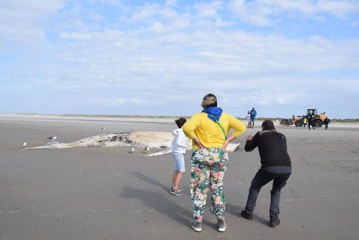 Grote bultrug aangespoeld