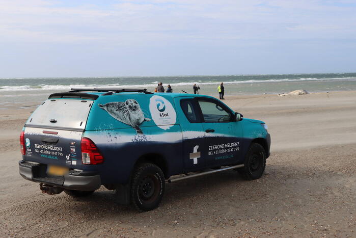 Grote bultrug aangespoeld