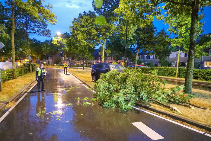 LPG-tank auto lek na botsing met boom