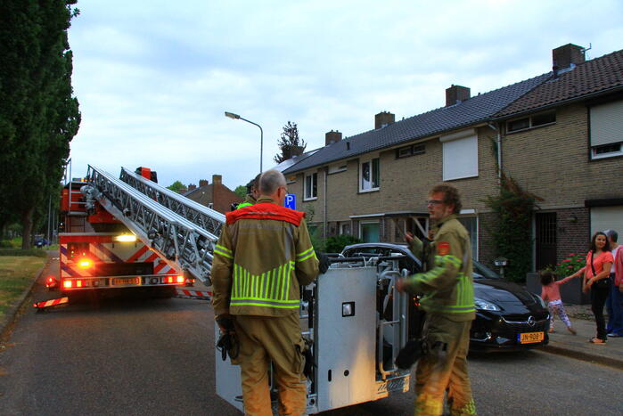 Brandweer redt voor derde keer kat van dak