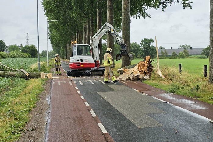 Enorme omgewaaide boom verspert de weg