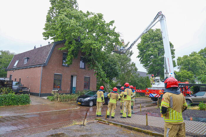 Flinke boom omgewaaid tegen woning