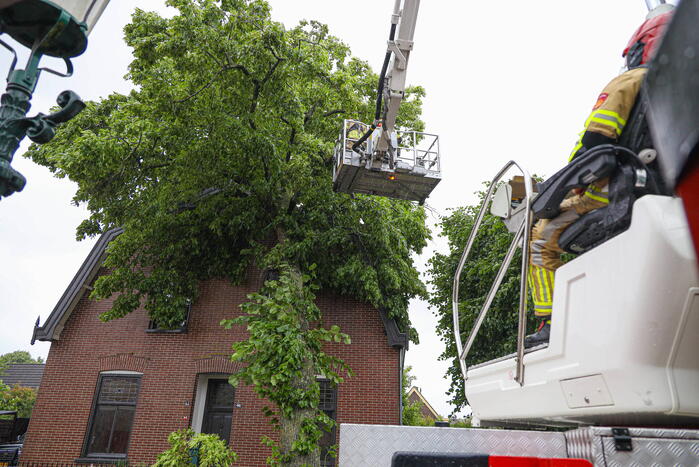 Flinke boom omgewaaid tegen woning