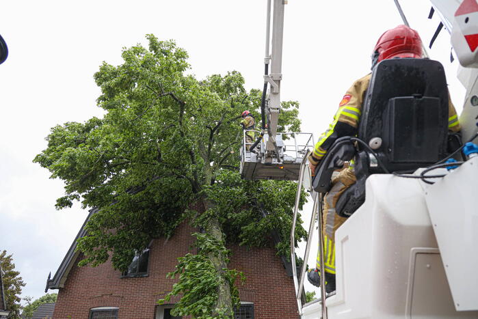 Flinke boom omgewaaid tegen woning