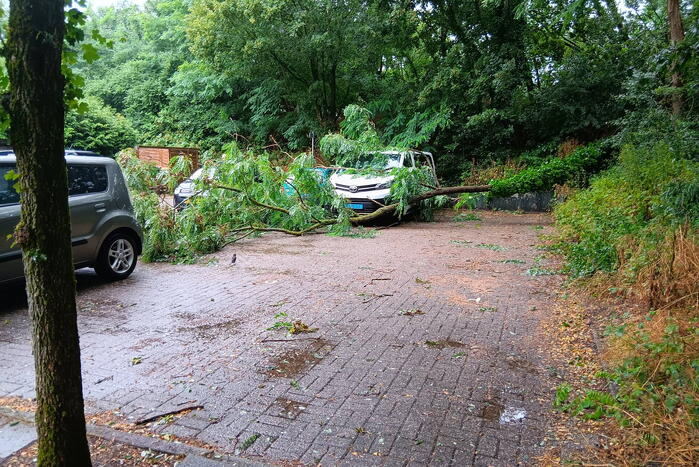 Bestelbus beschadigd door vallende tak