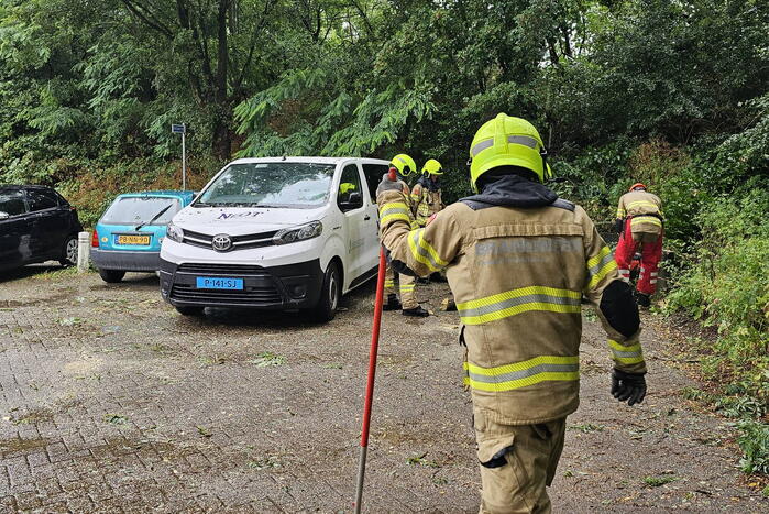 Bestelbus beschadigd door vallende tak