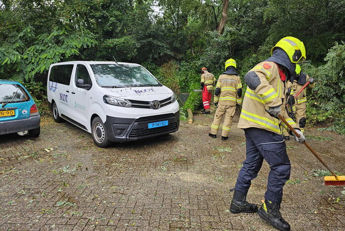 Bestelbus beschadigd door vallende tak