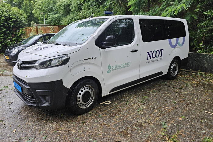 Bestelbus beschadigd door vallende tak