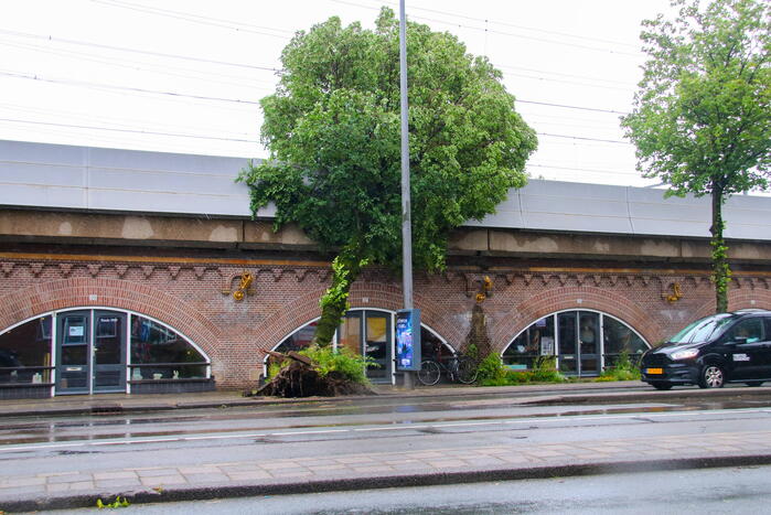 Omgewaaide boom hindert treinverkeer