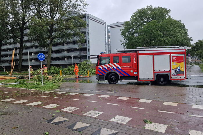 Meerdere bomen omgewaaid door storm