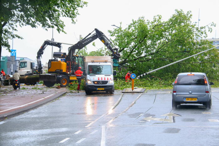 Enorme boom omgewaaid door storm