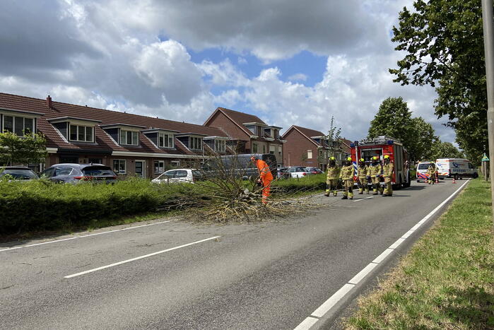 Boom omgewaaid op wegdek
