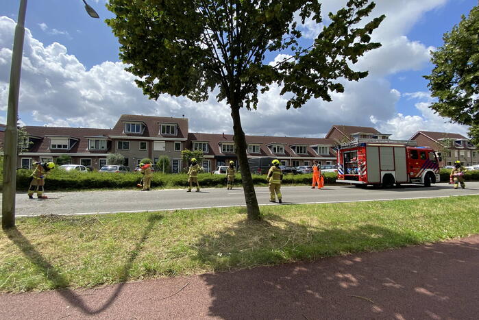 Boom omgewaaid op wegdek