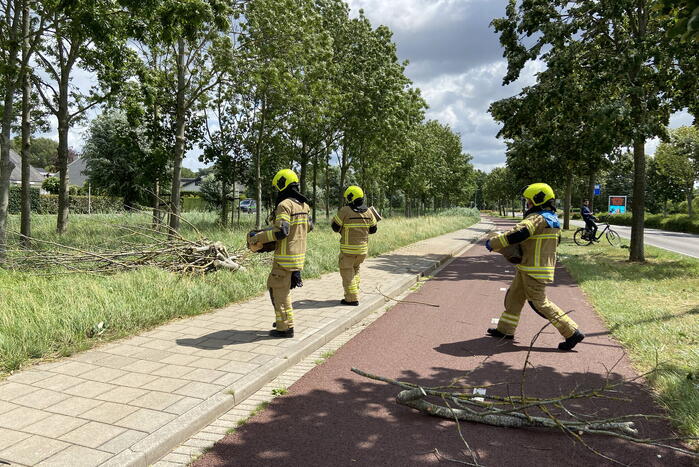 Boom omgewaaid op wegdek