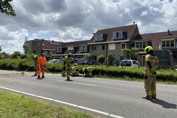 Boom omgewaaid op wegdek