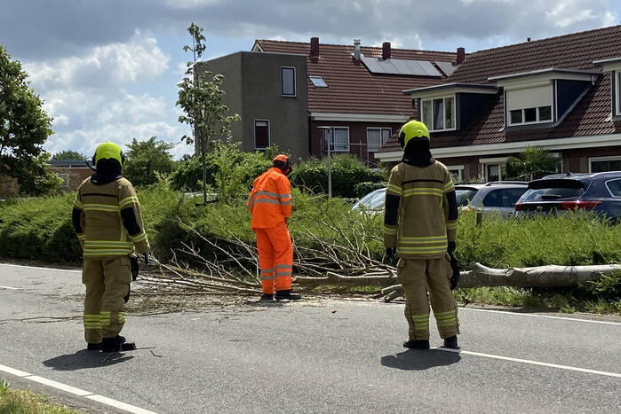 Boom omgewaaid op wegdek