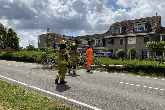 Boom omgewaaid op wegdek