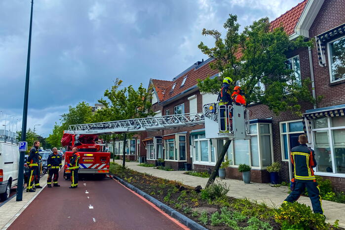 Boom valt om tegen woning door zomerstorm