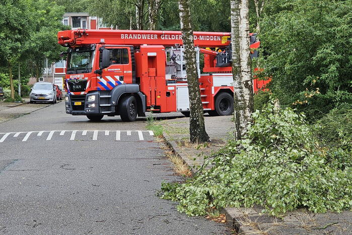 Loshangende tak door storm verwijderd