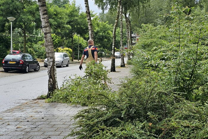 Loshangende tak door storm verwijderd