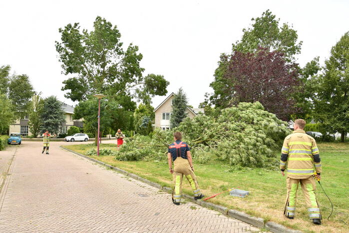 Brandweer zaagt boom om na storm Poly