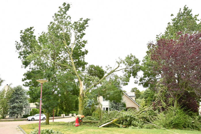 Brandweer zaagt boom om na storm Poly