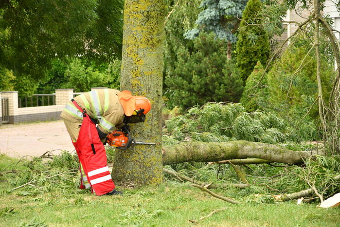 Brandweer zaagt boom om na storm Poly
