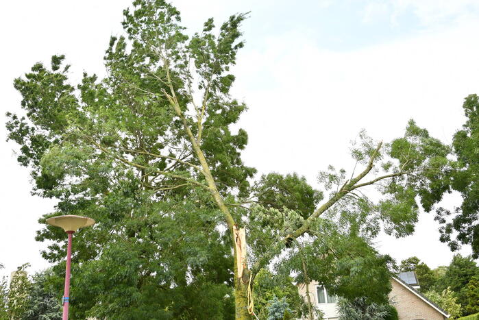 Brandweer zaagt boom om na storm Poly