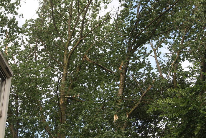 Brandweer verwijdert gevaarlijk hangende takken