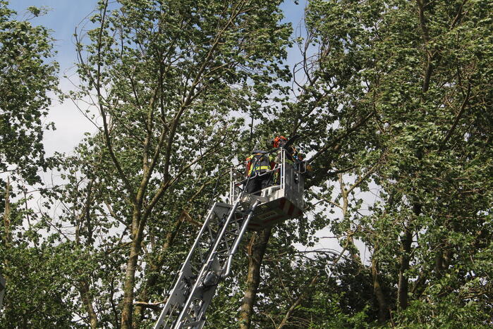 Brandweer verwijdert gevaarlijk hangende takken