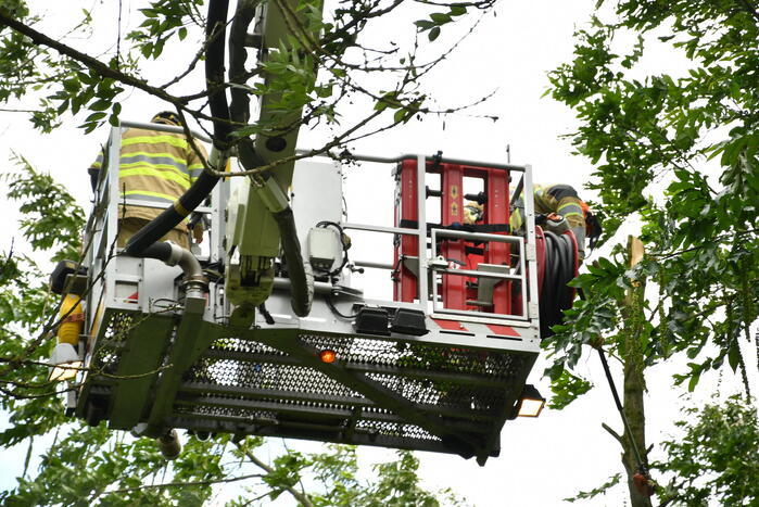 Straat afgezet door vallende takken