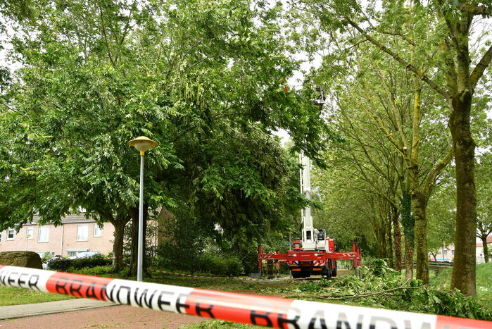Straat afgezet door vallende takken