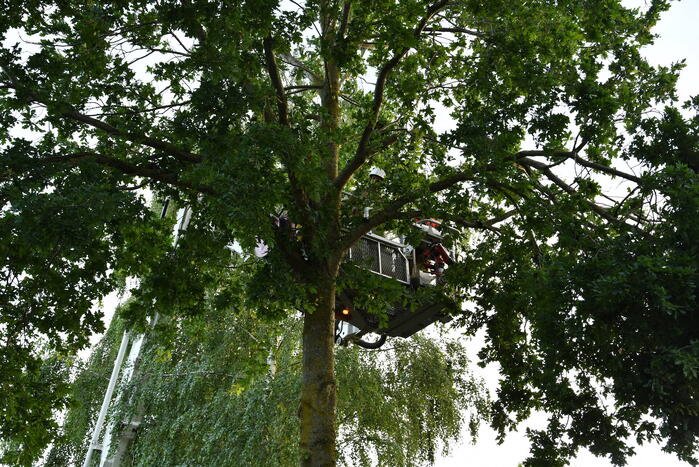 Brandweer verwijdert gevaarlijk hangende tak