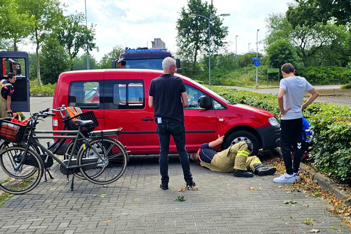 Kat zit vast onder motorkap van auto