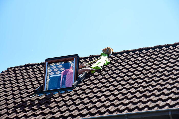 Brandweer probeert kat van dak te halen