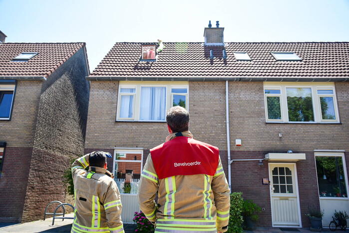 Brandweer probeert kat van dak te halen