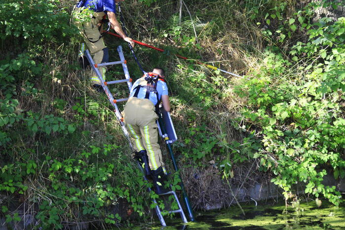 Brandweer haalt fiets en verkeersbord uit water