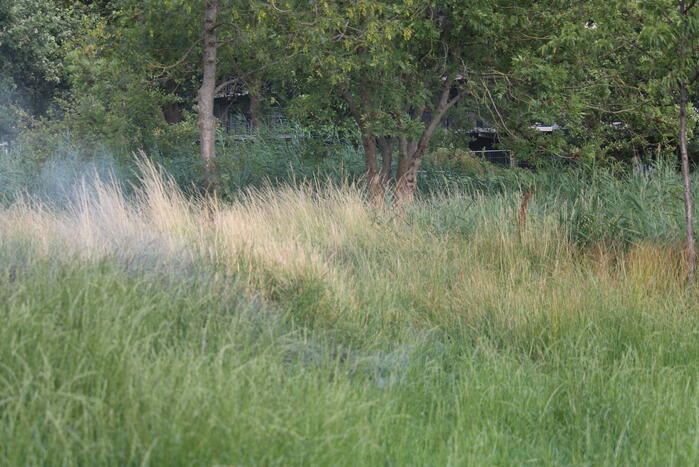 Bermbrand snel geblust