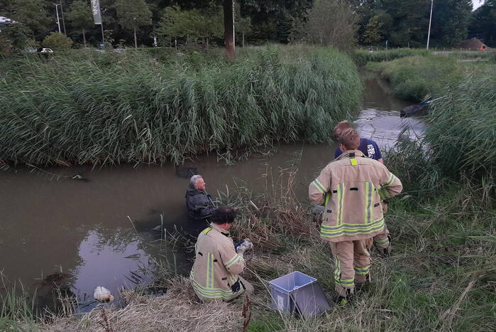 Rotterdamseweg 112 melding Ridderkerk 