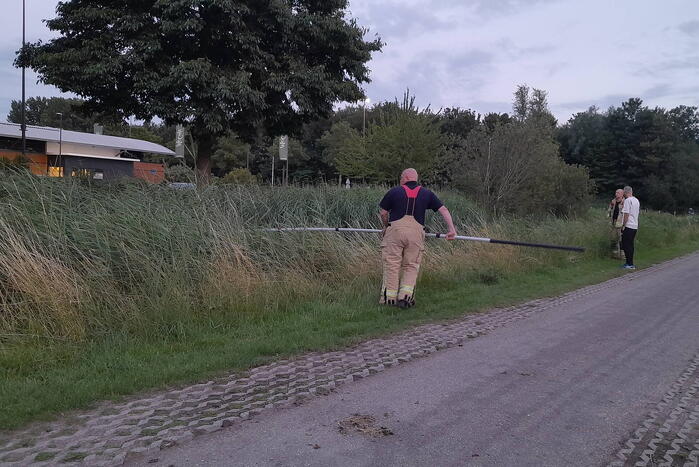 Brandweer probeert kuikens in problemen te redden