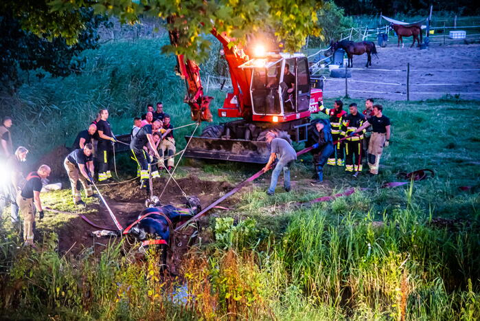 Brandweer uren bezig met paard in sloot